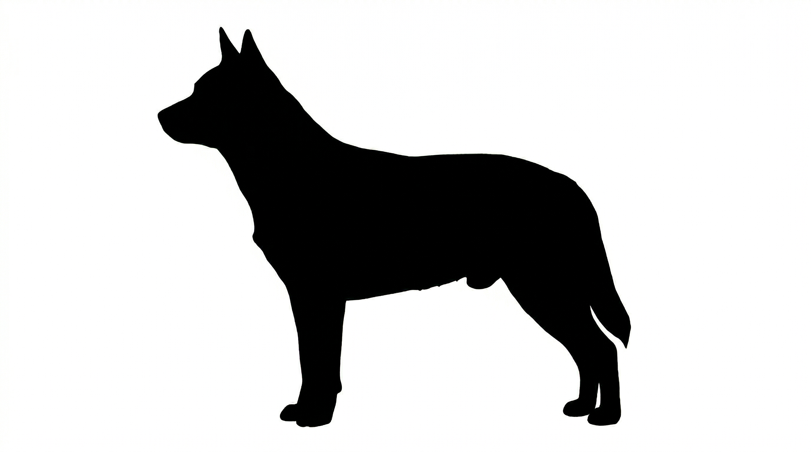 Australian Cattle Dog silhouette