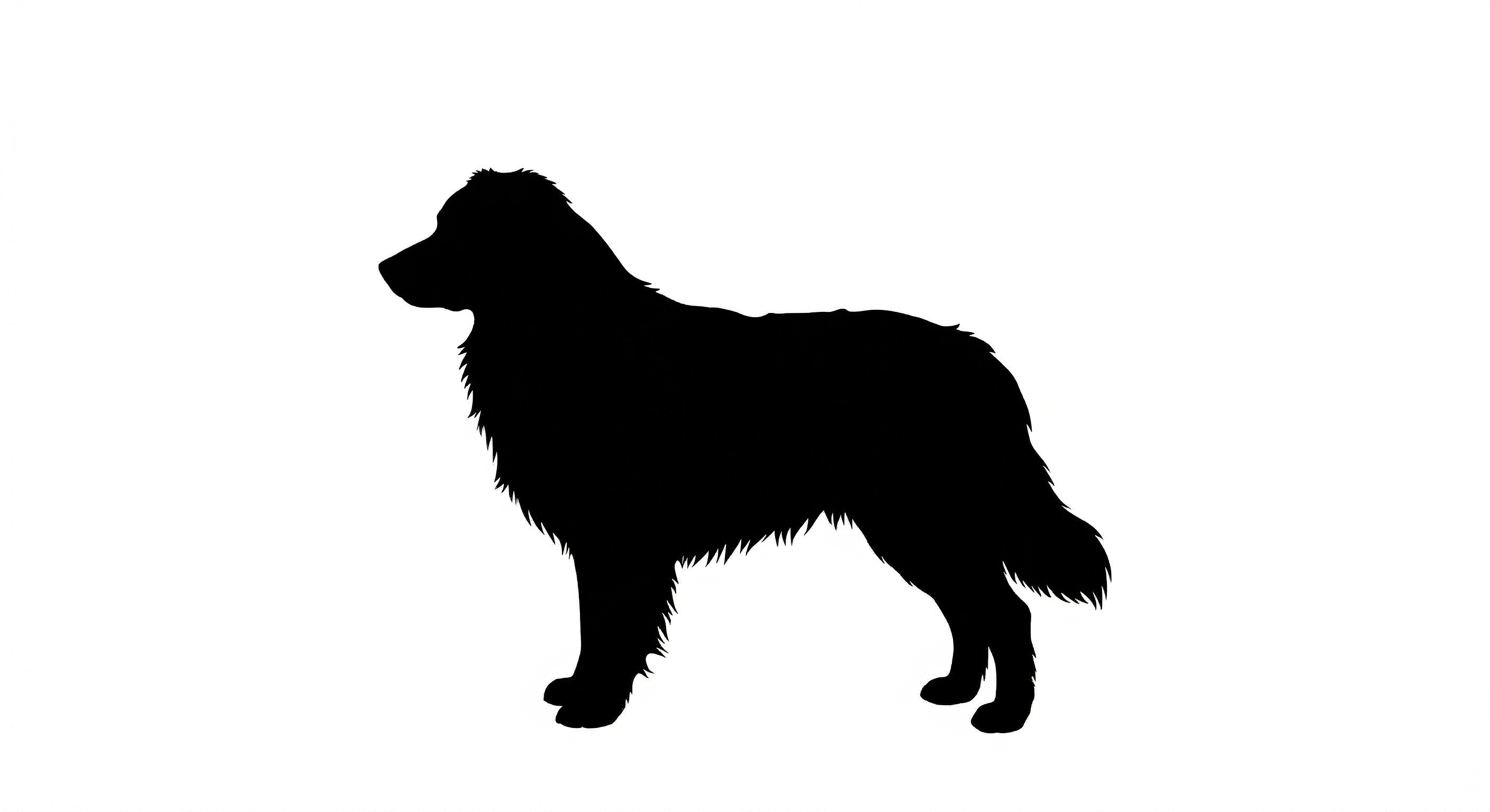 Australian Shepherd silhouette