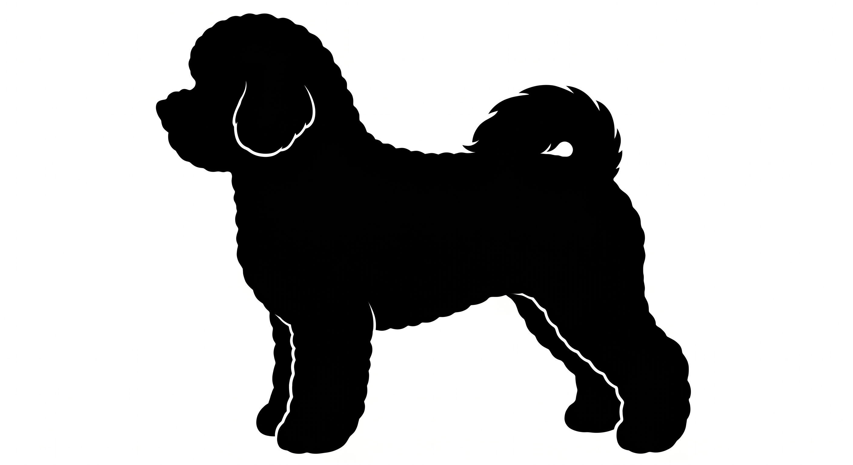 Bichon Frise silhouette