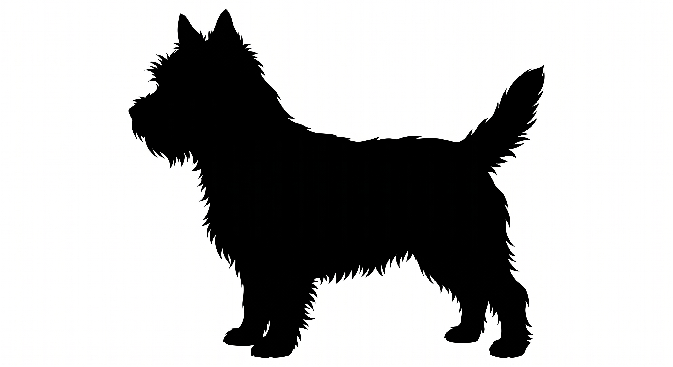 Cairn Terrier silhouette