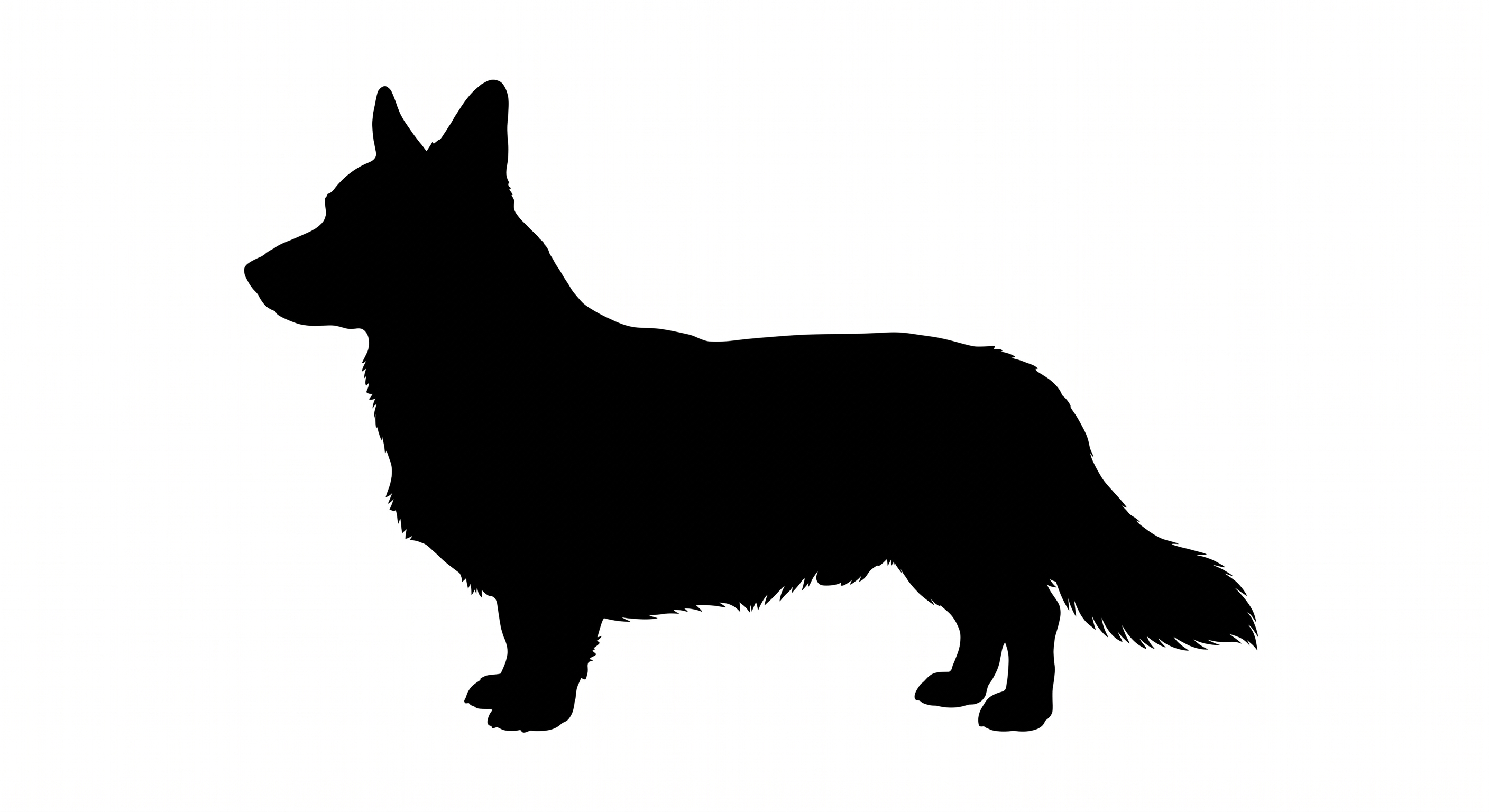 Cardigan Welsh Corgi silhouette