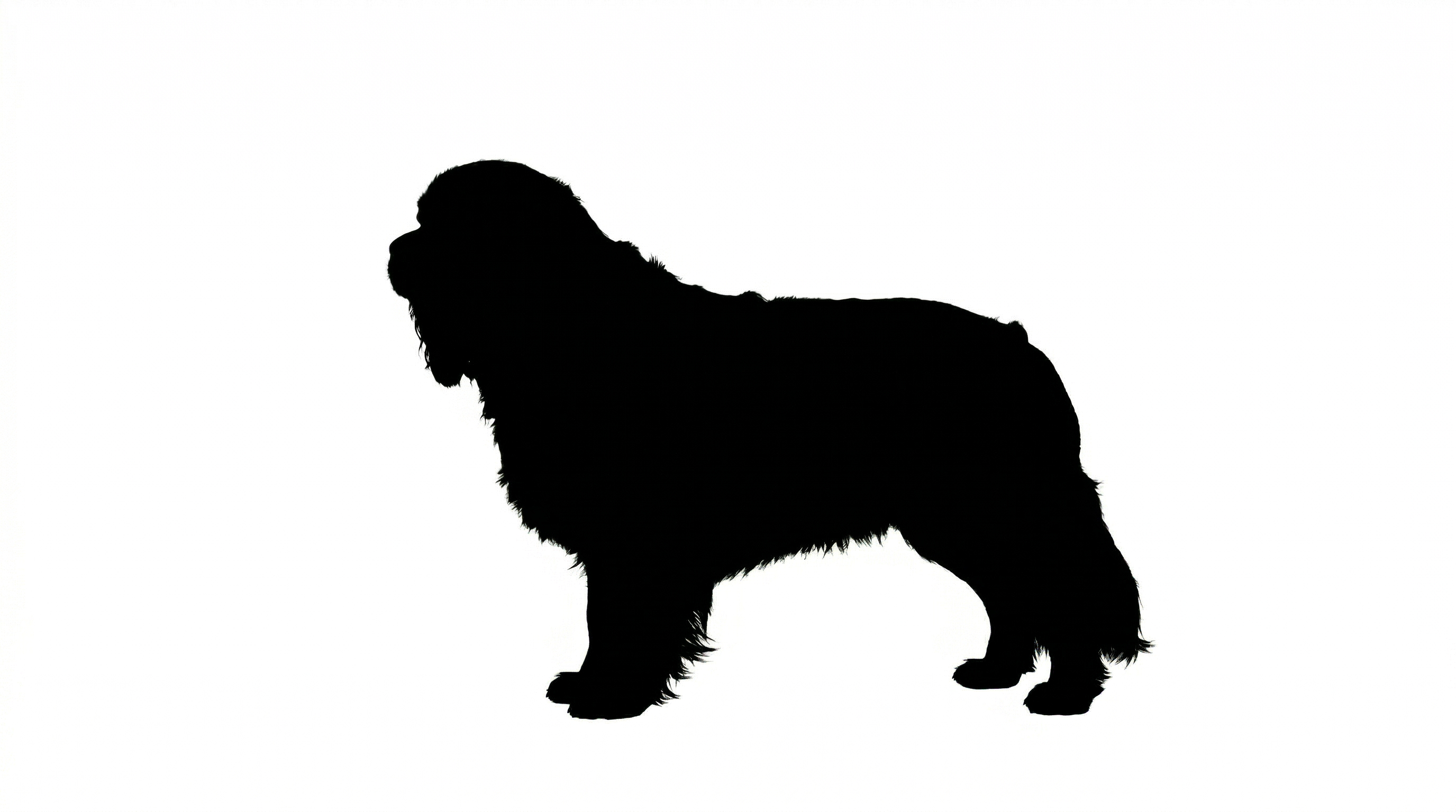 Cavalier King Charles Spaniel silhouette