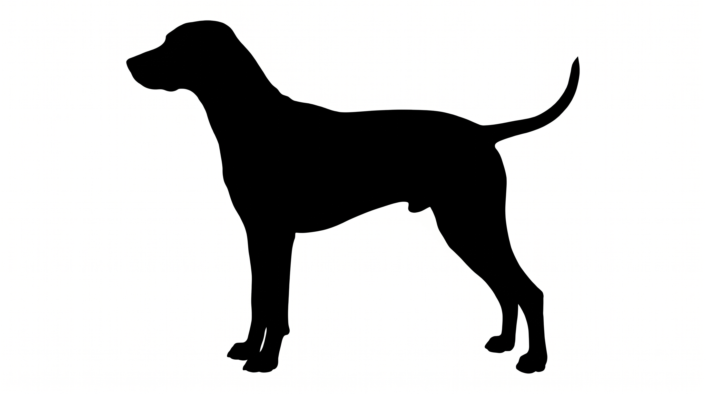 Dalmatian silhouette