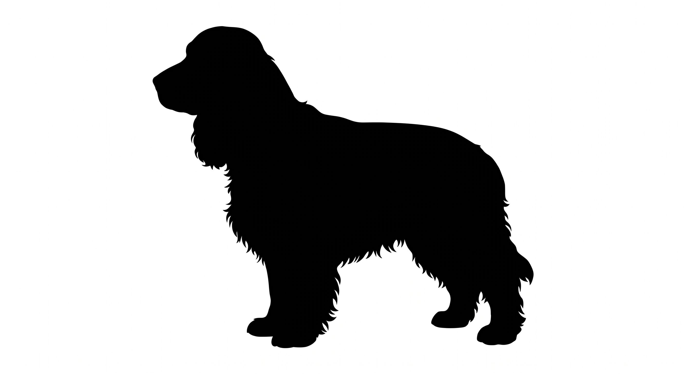 English Cocker Spaniel silhouette