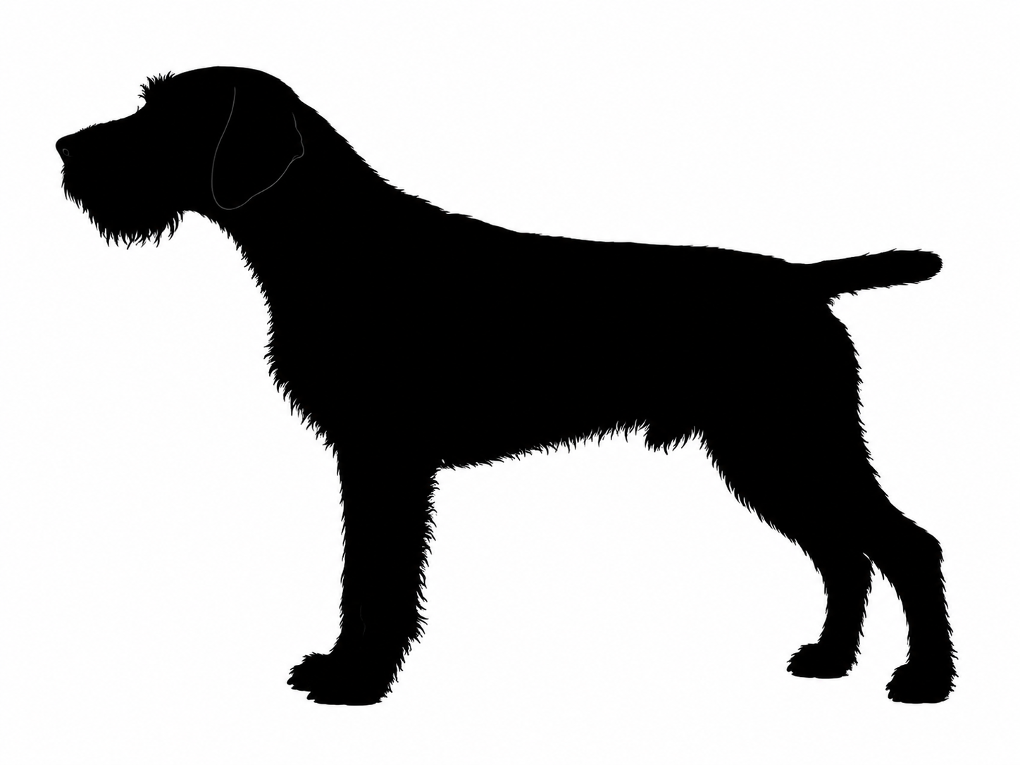 German Wirehaired Pointer silhouette
