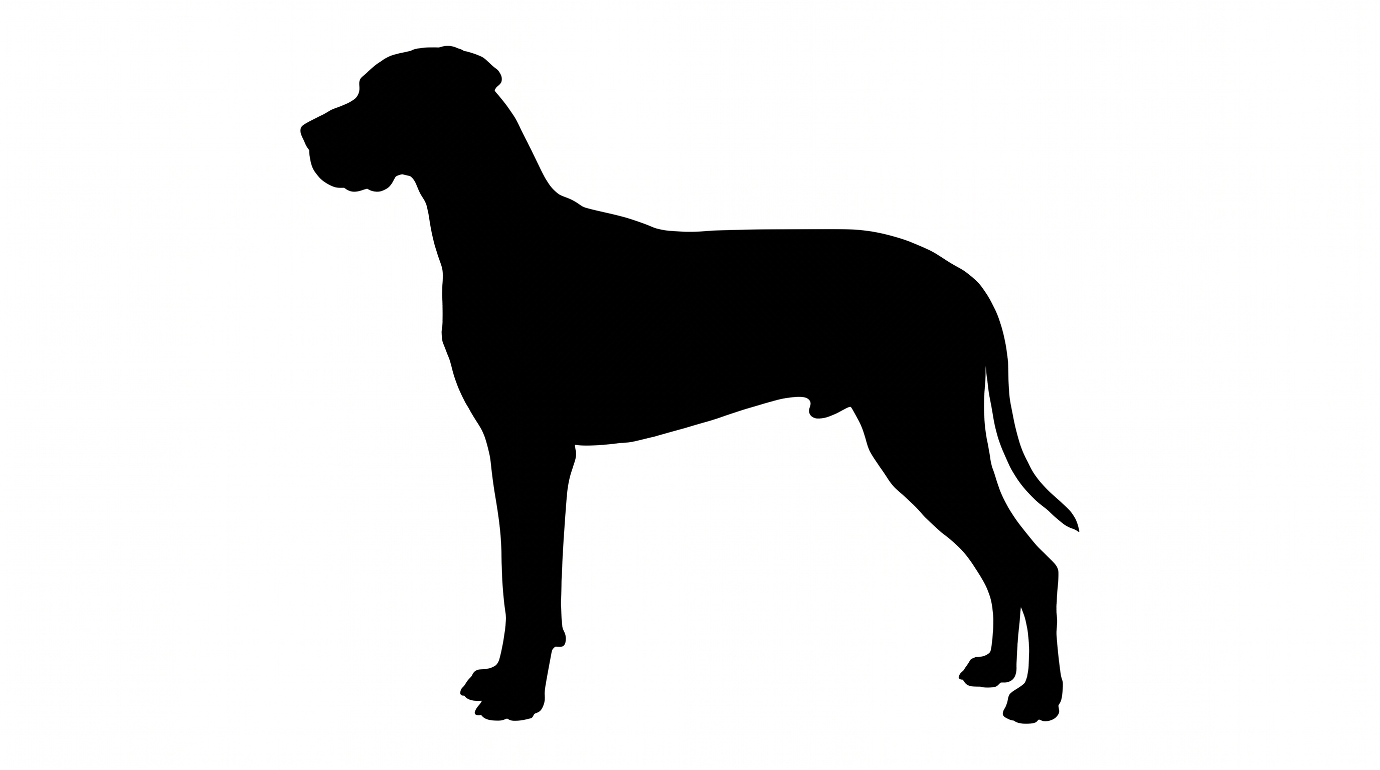 Great Dane silhouette