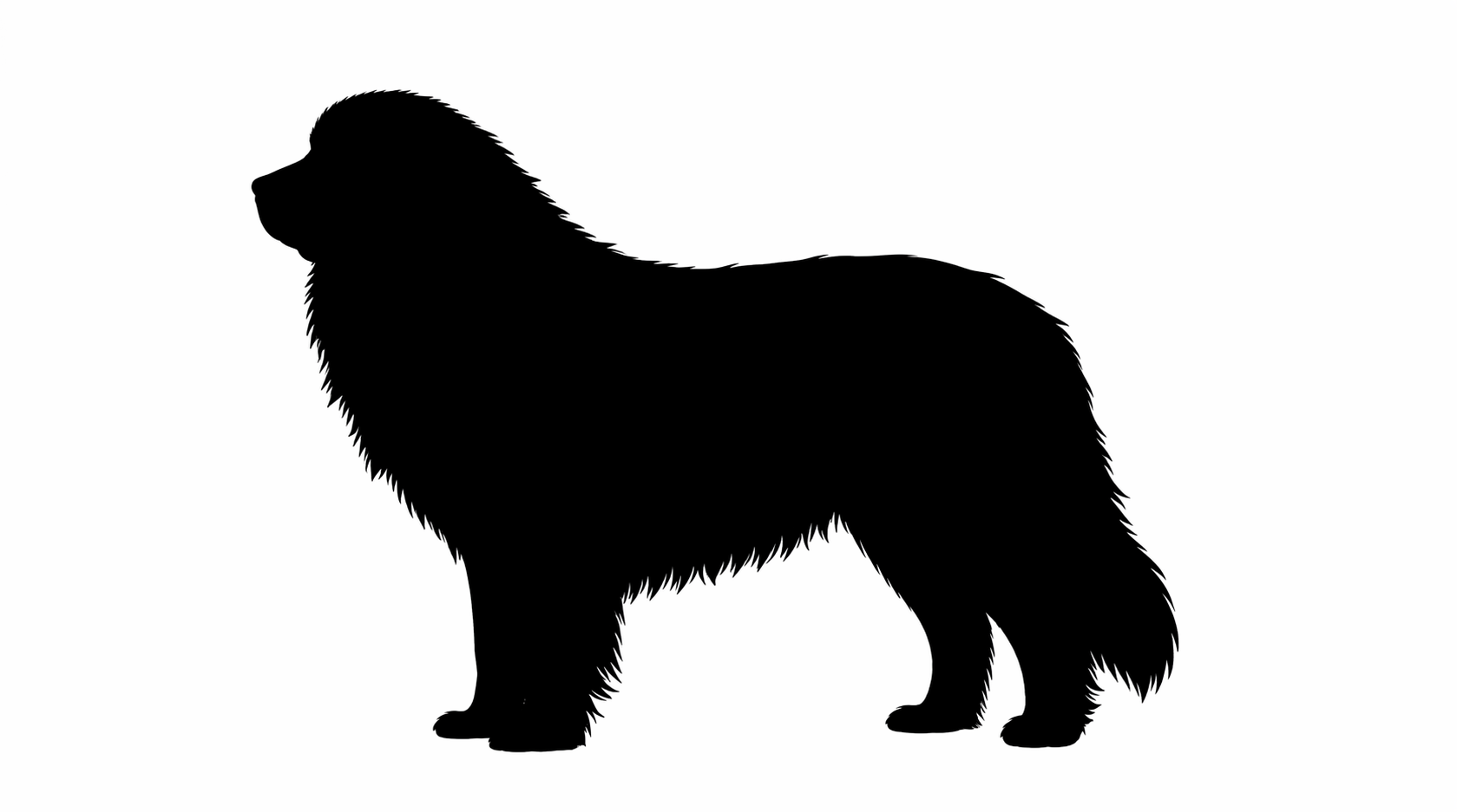 Great Pyrenees silhouette