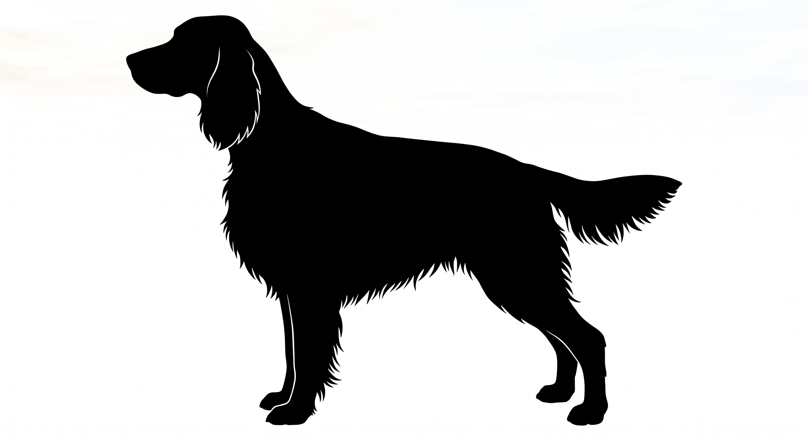 Irish Setter silhouette