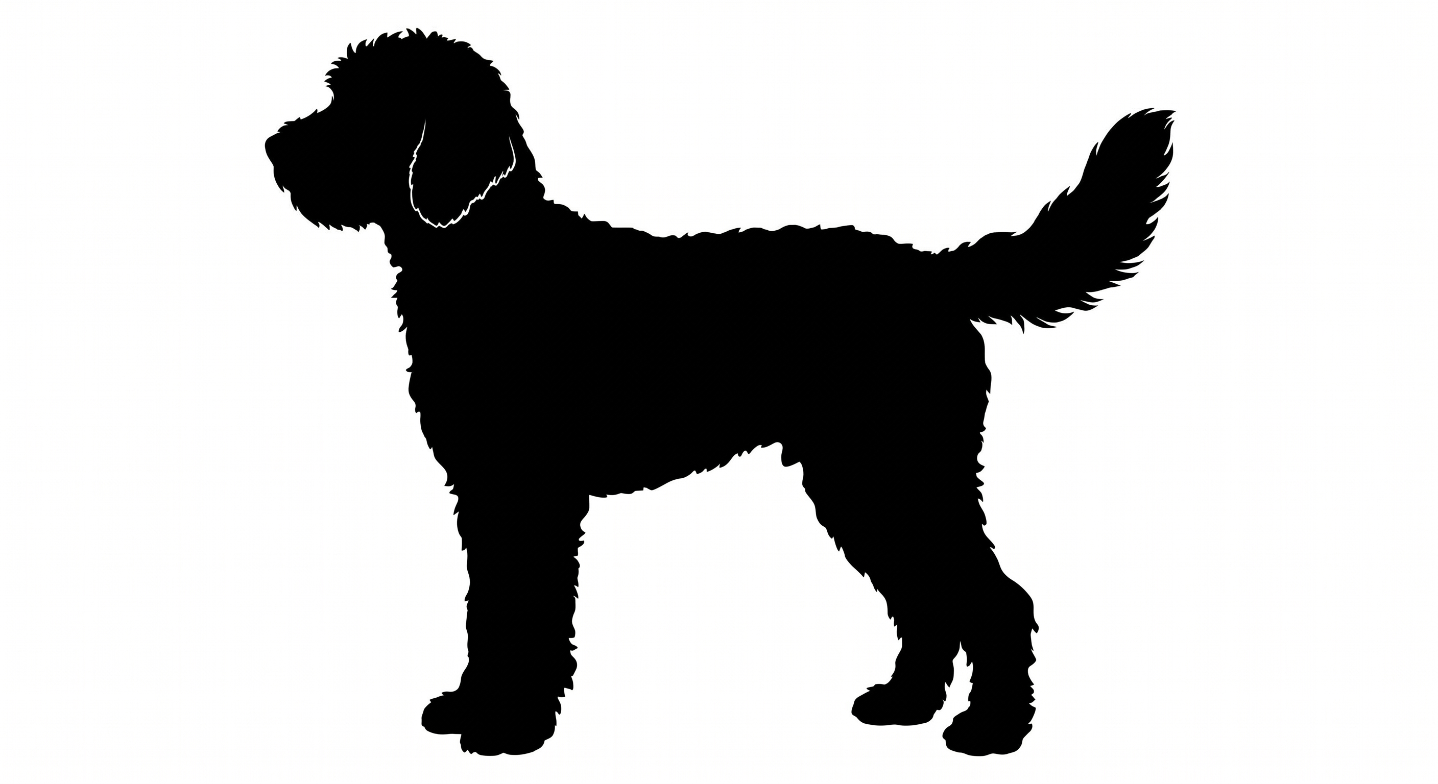 Labradoodle silhouette