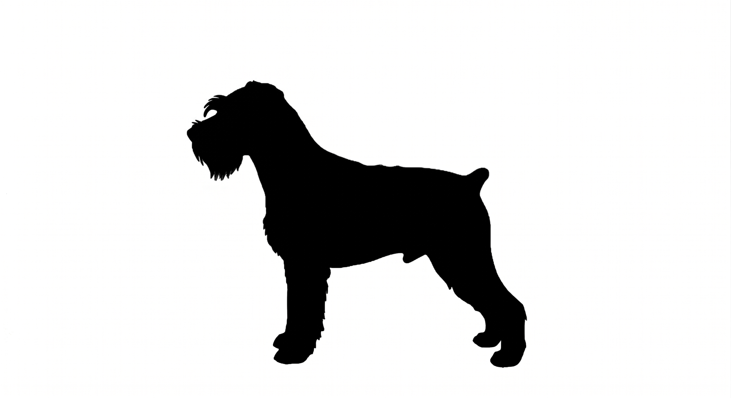 Miniature Schnauzer silhouette