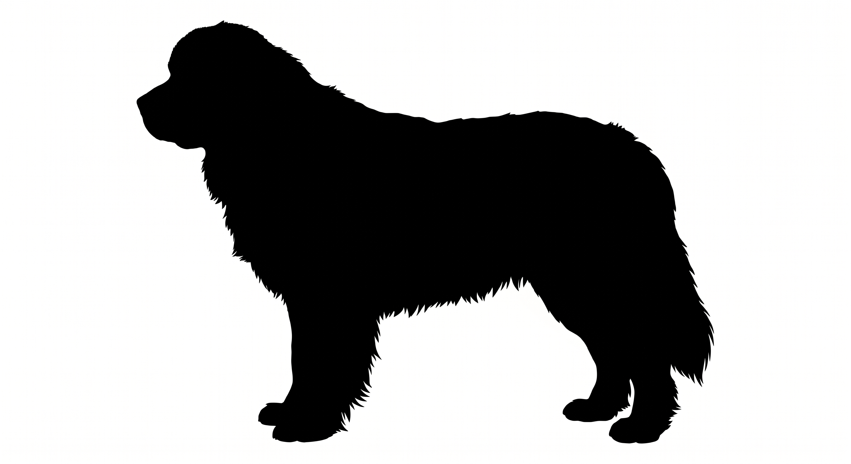 Newfoundland silhouette