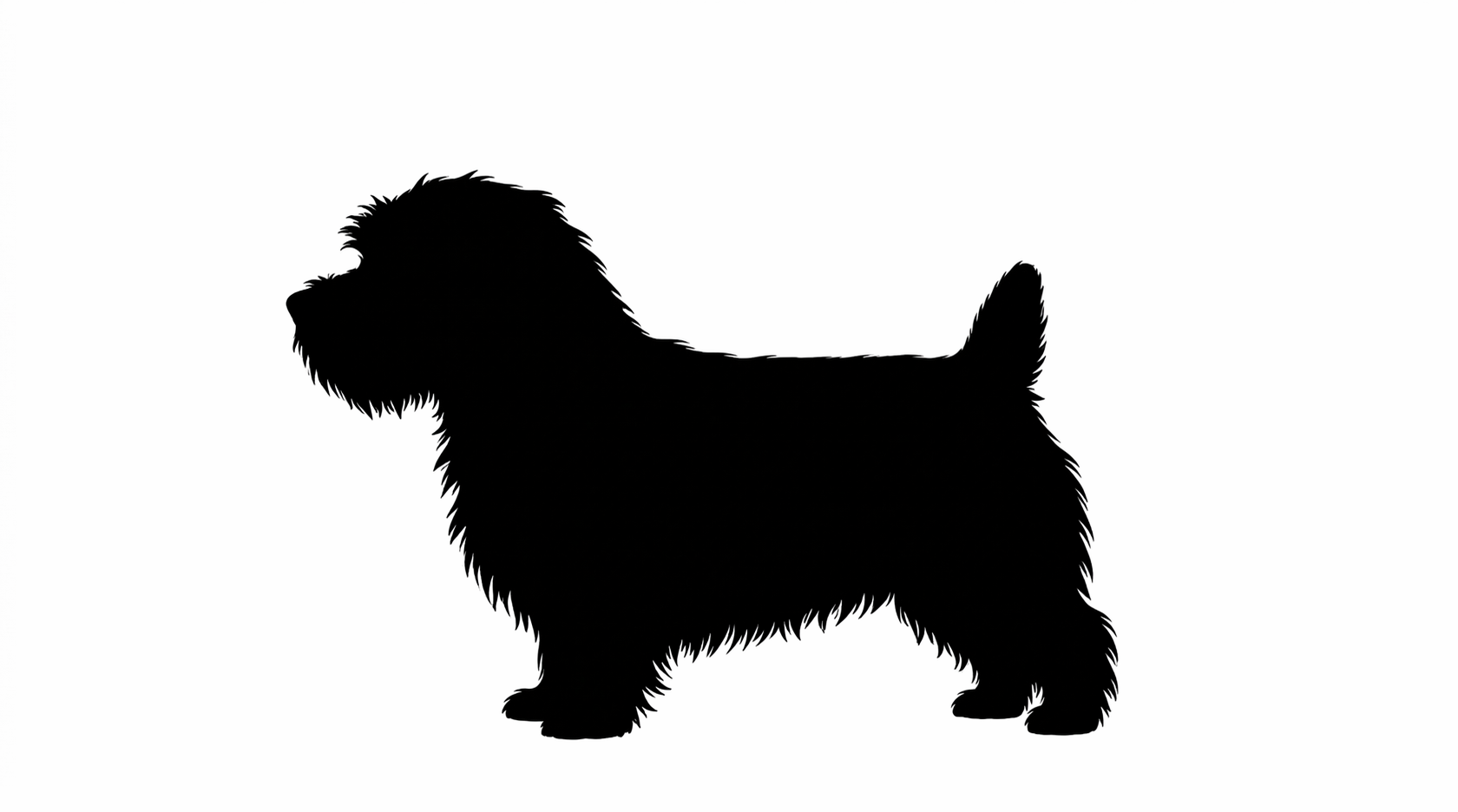 Norfolk Terrier silhouette