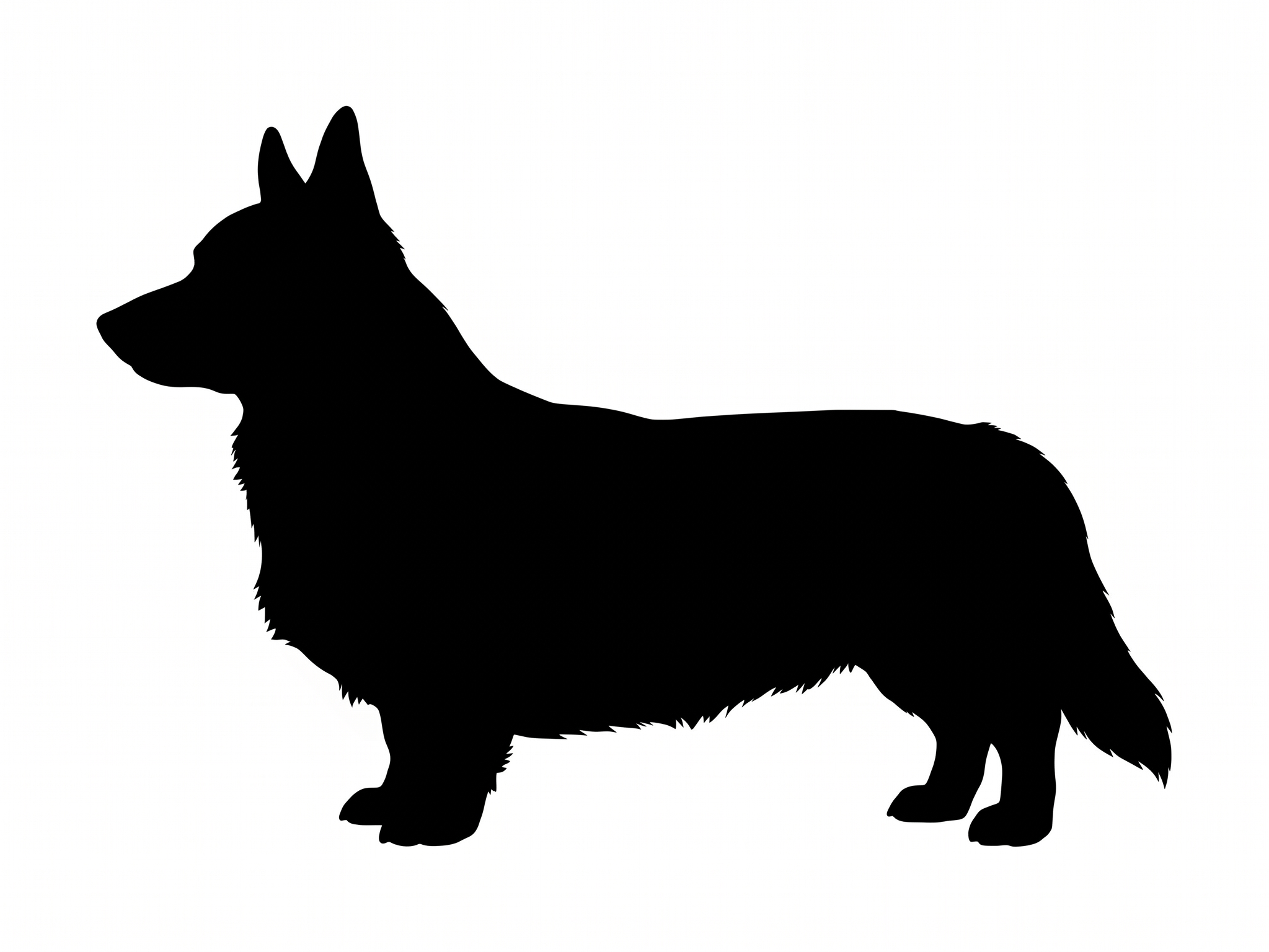 Pembroke Welsh Corgi silhouette