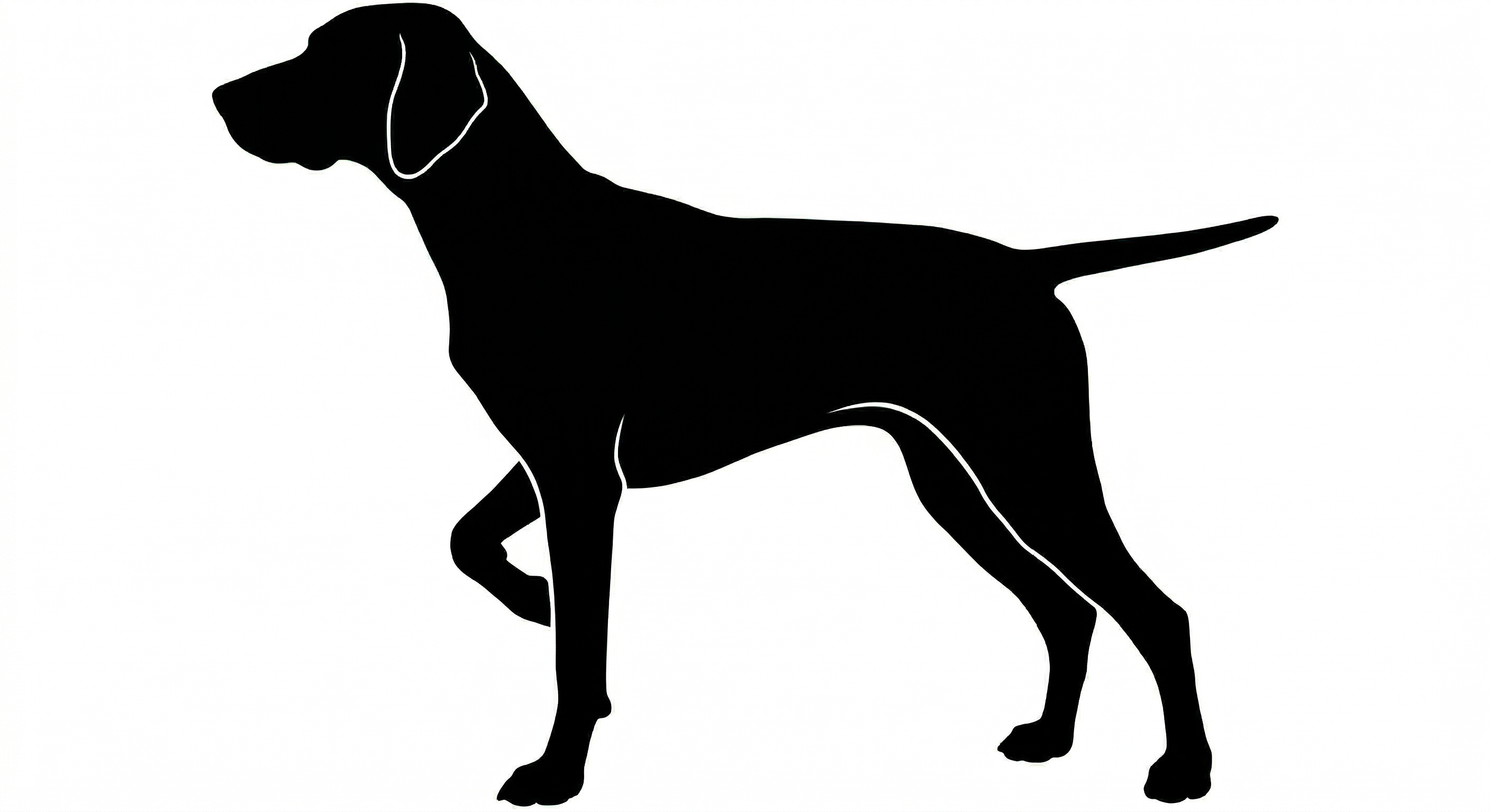Pointer silhouette
