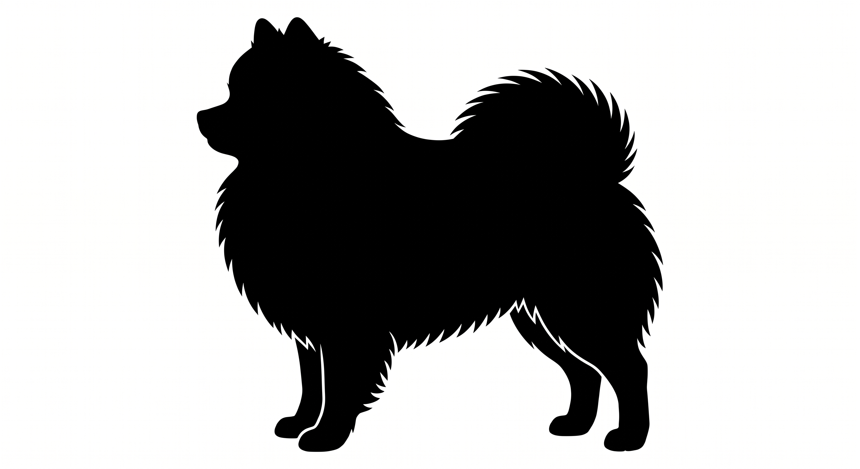 Pomeranian silhouette