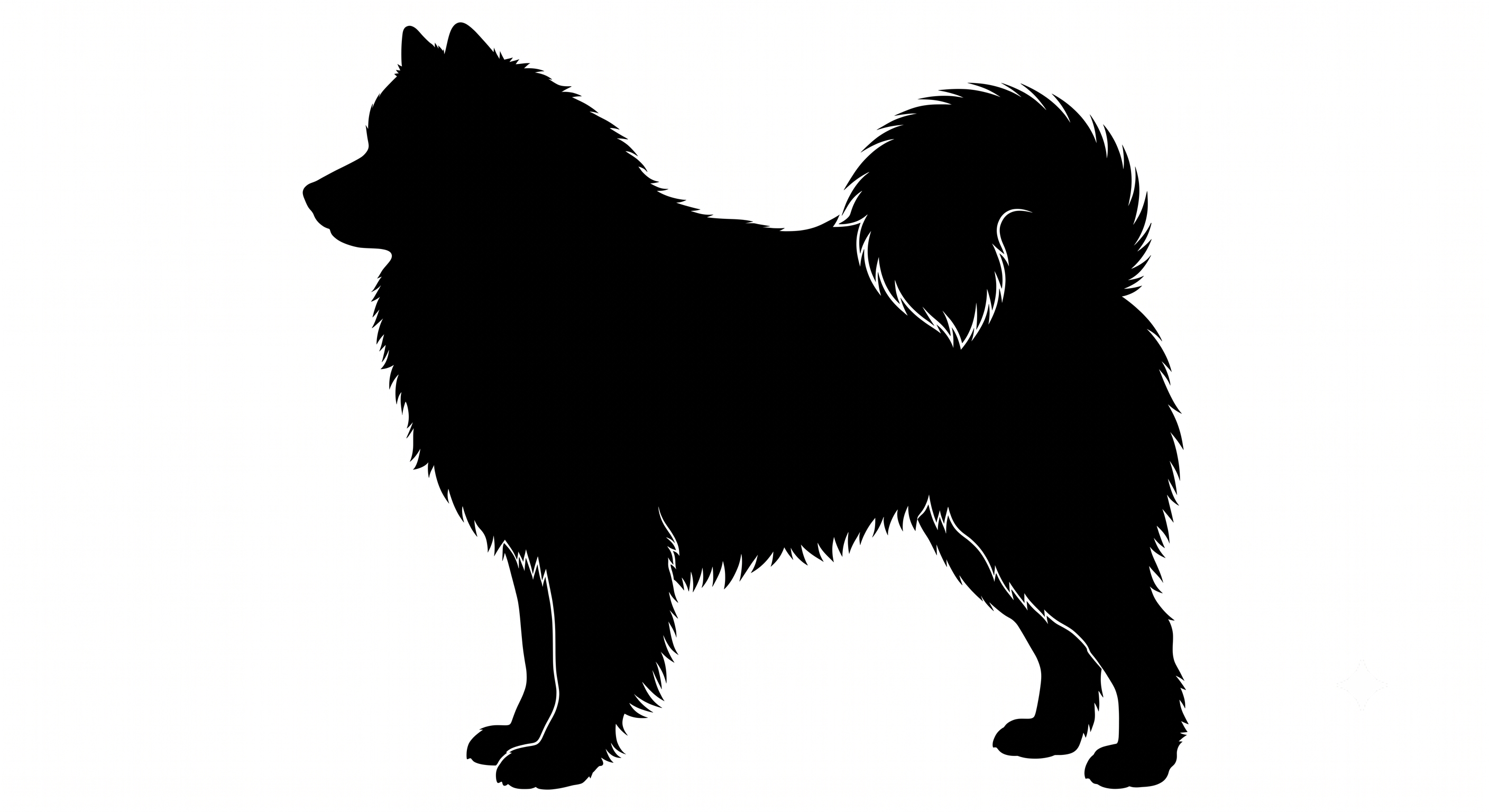 Samoyed silhouette