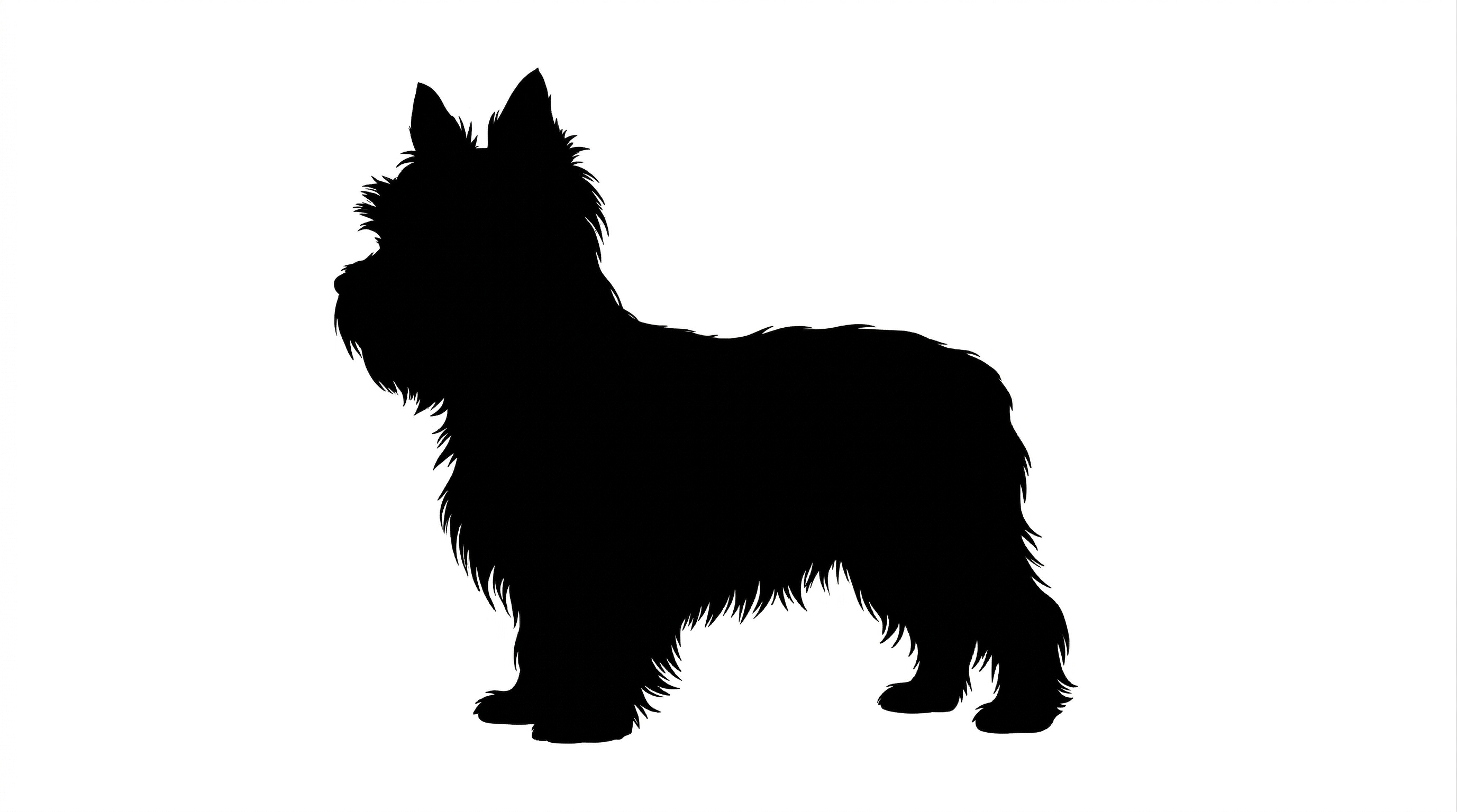 Yorkshire Terrier silhouette